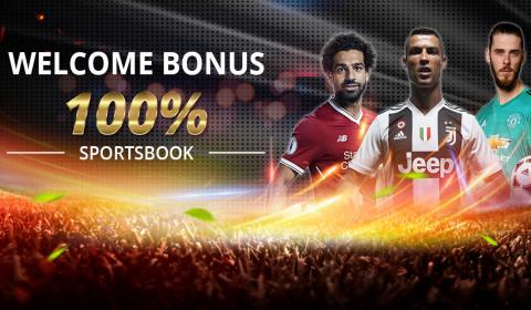 images/gallery/01bola100.jpg